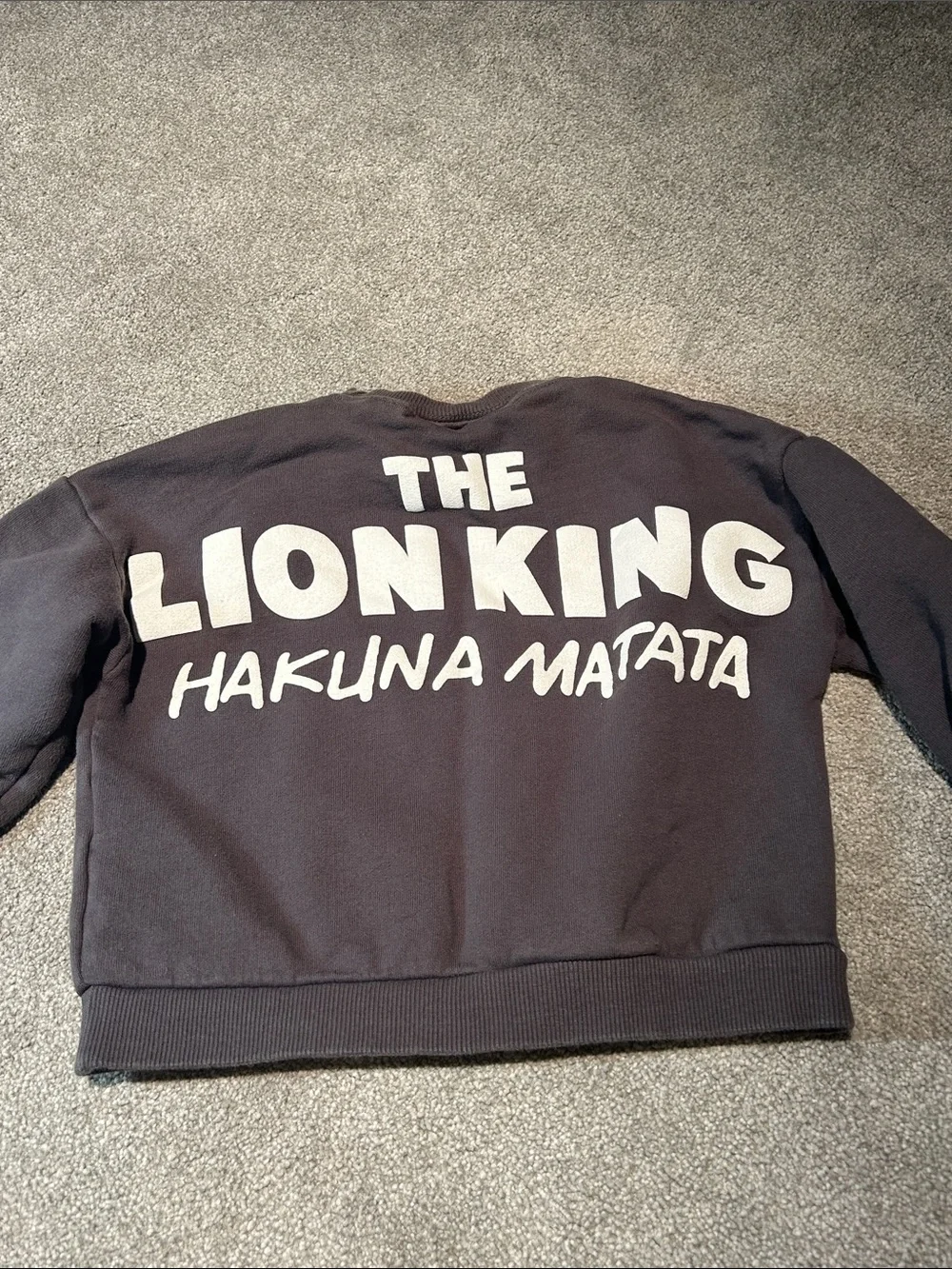 Zara x Disney feat: Lion King